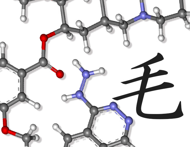 化学と毛