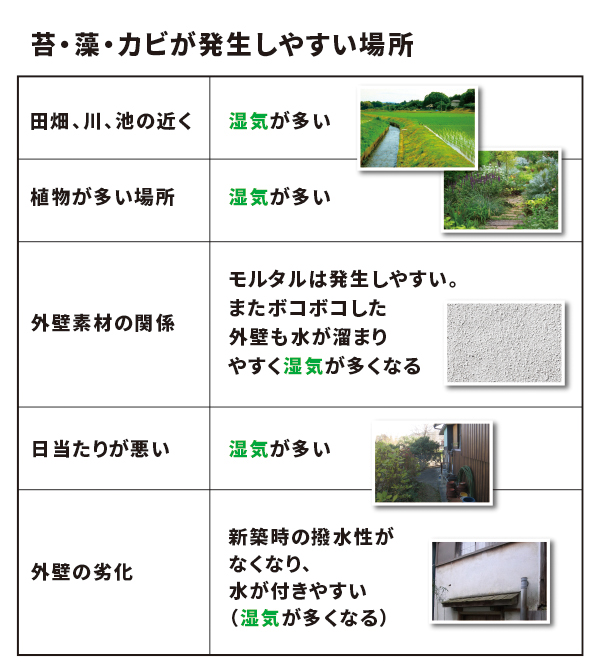 苔藻カビが発生しやすい場所