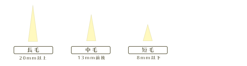 ローラーの毛丈サイズ表