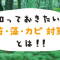 知っておきたい苔・藻・カビ対策