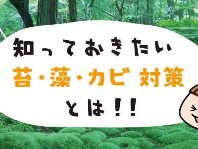 知っておきたい苔・藻・カビ対策