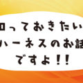 知っておきたい!ハーネスのお話ですよ