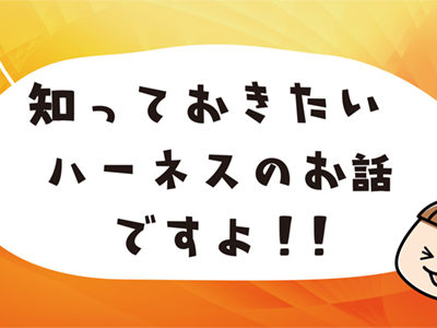 知っておきたい!ハーネスのお話ですよ