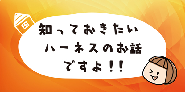 知っておきたい!ハーネスのお話ですよ