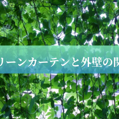 グリーンカーテンと外壁の関係